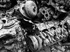 skeleton of engine