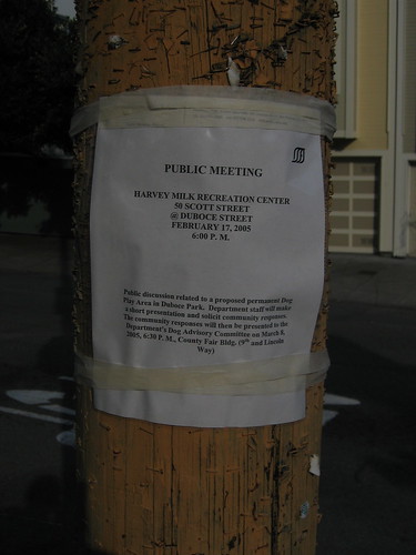 Offsite: photograph of the flyer