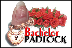 bachelor padlock.jpg