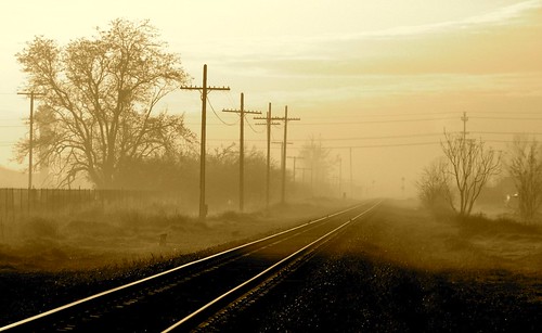 RR tracks in the mist 1