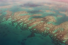 Great Barrier Reef - OZ
