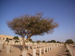 Australian Graves at El Alamein