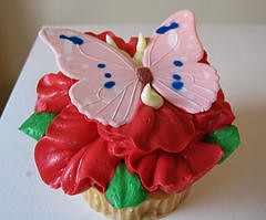 butterflycupcake