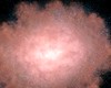 This artist's concept shows what a dusty and bright galaxy located billions of light-years away might look like close up if viewed in infrared light. Galaxies like these are so far away and so drenched in dust, they appear invisible to optical telescopes.