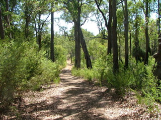 Bunbury bush trail