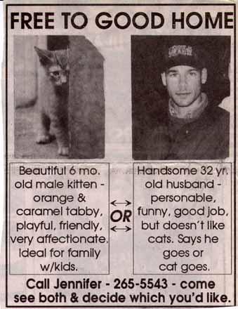 Classified Advertisement for cat/hubby ...
