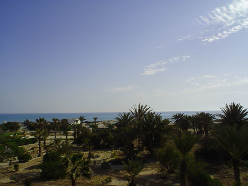 Djerba View