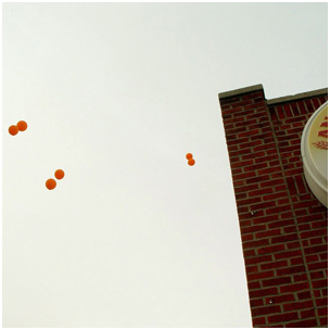 Protest Balloons