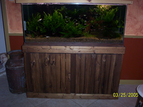 Fish Tank Stand - In use