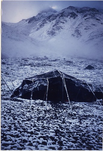 black tent2