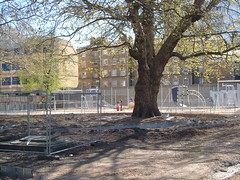 Site from the Banner Street end