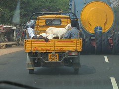 Indian Highway Photo 2